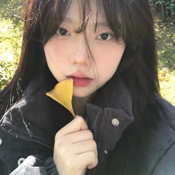 特洛伊一千个女人